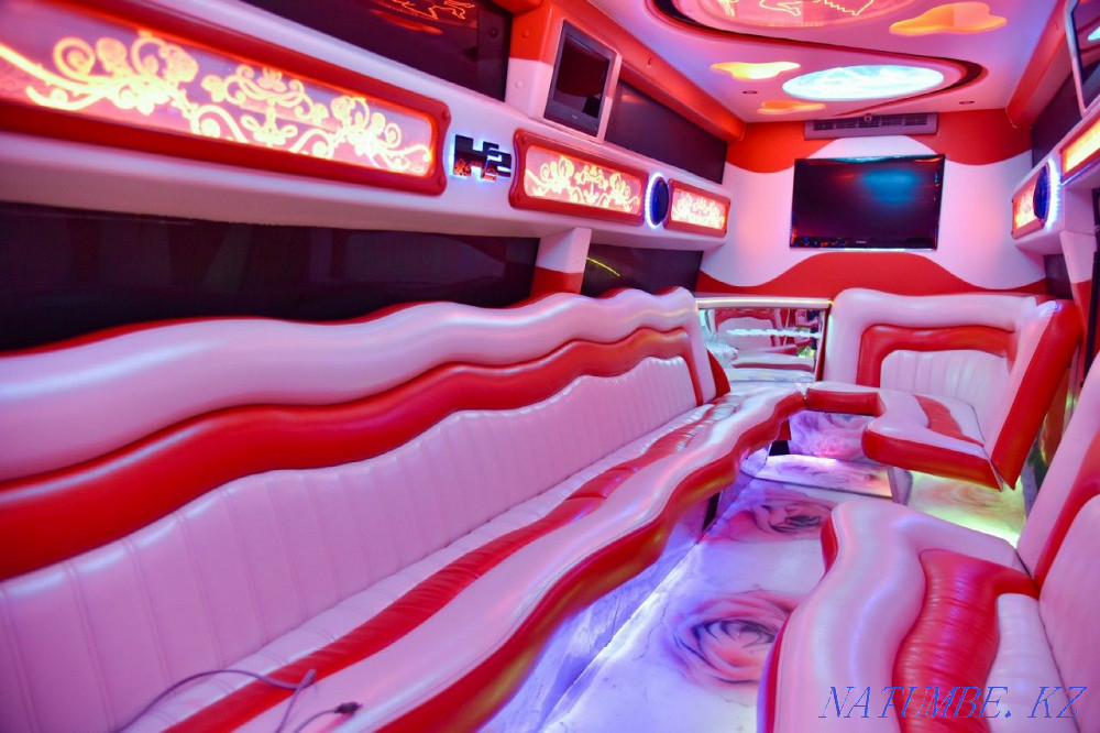 Hammer limousine, Extract, Cottage Aqtobe - photo 8