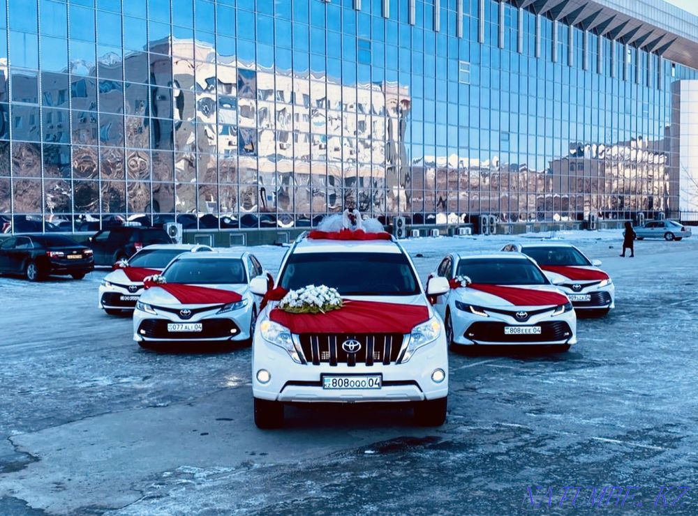 Extract from the maternity hospital Cortege Rent Car rental Cartege Gulyanka Transfer Aqtobe - photo 8