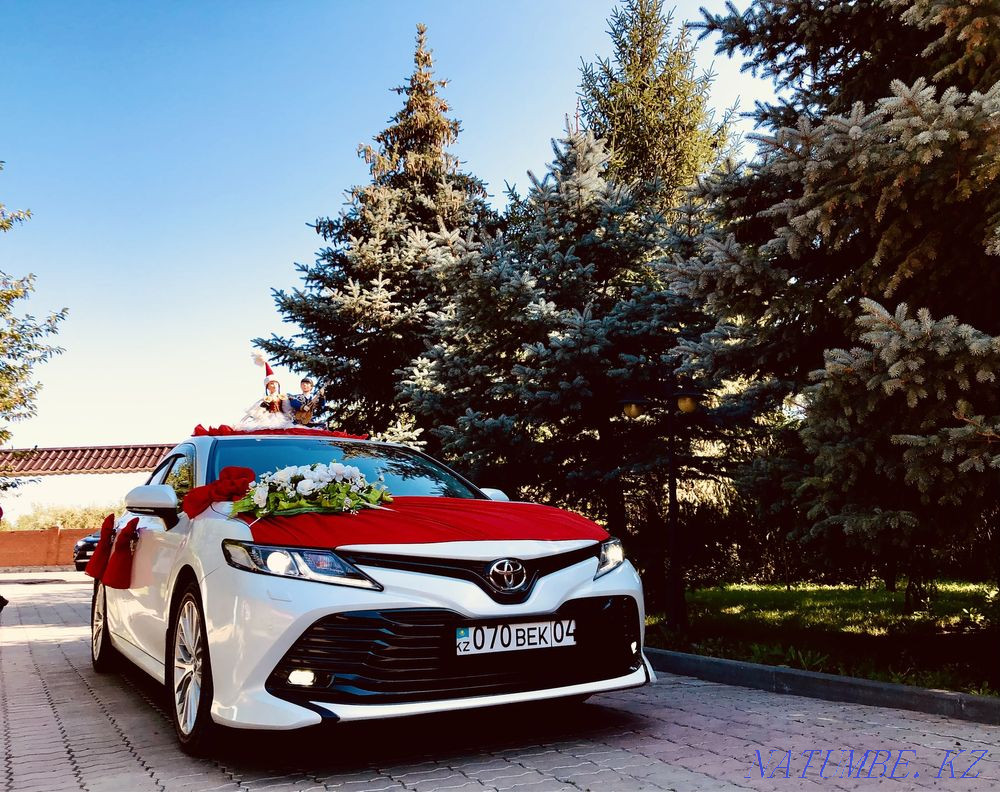 Extract from the maternity hospital Cortege Rent Car rental Cartege Gulyanka Transfer Aqtobe - photo 6