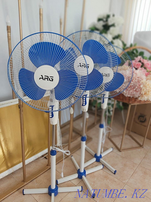 Декорды жалға алу және мерекеге арналған барлық нәрсе  Астана - изображение 5