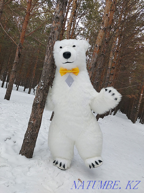 Заказ Мишка Ник Украсит Ваш праздник Караганда - изображение 5