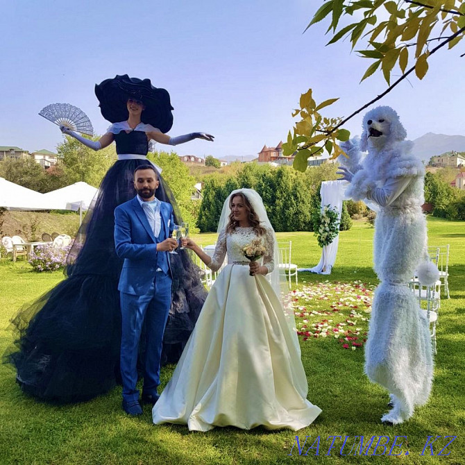 White poodle and lady. Animators. Stilt walkers. Hostess Almaty - photo 2