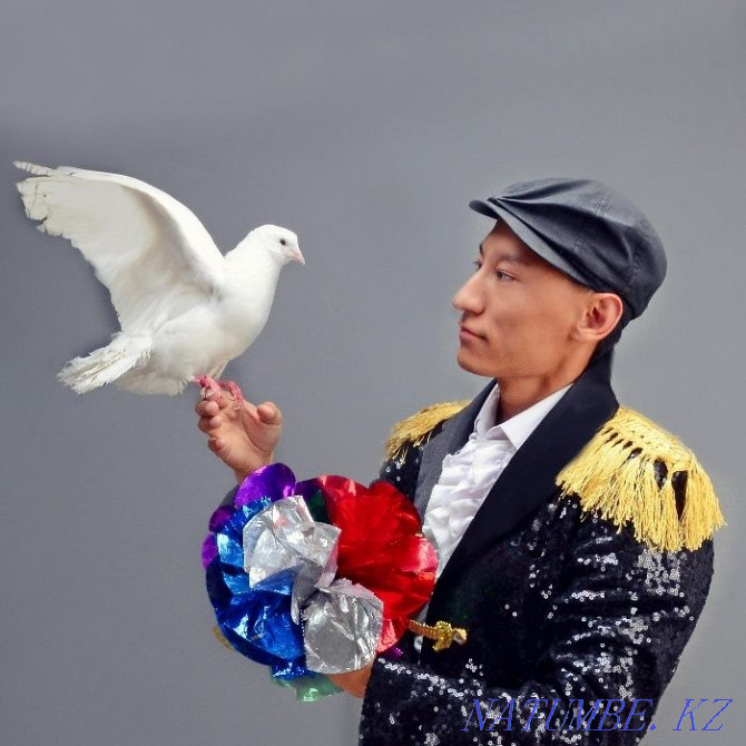 Magician for the holidays Ust-Kamenogorsk - photo 1