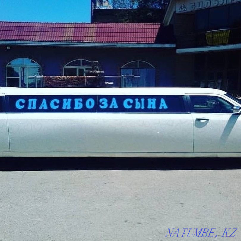 Выписка из роддома Алматы - изображение 6