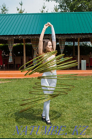 The circus. Circus program. Circus show. Animators. Children holidays Almaty - photo 3