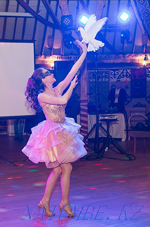 The circus. Circus program. Circus show. Animators. Children holidays Almaty - photo 7