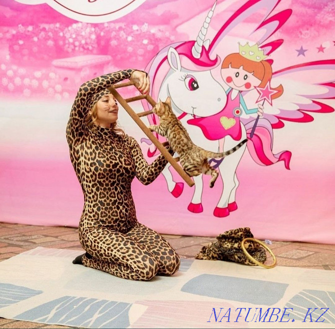 The circus. Circus program. Circus show. Animators. Children holidays Almaty - photo 8