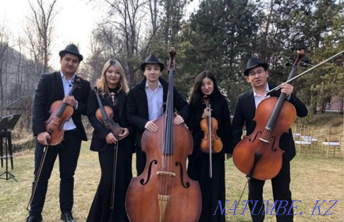 String quartet, trio, duets to meet guests, musicians Almaty - photo 1