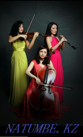 Музыканттар: дуэт Arco скрипка және виолончель, трио ЖАҚСЫ КӨҢІЛ, Брилланте  Астана - изображение 4