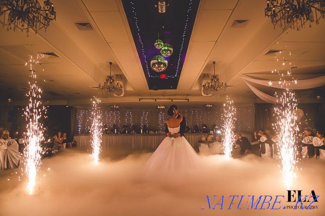 Heavy smoke! Cold fountain! Dance of the newlyweds! Photozone! Мичуринское - photo 2