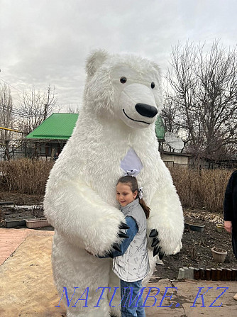 Поздравления От Белого Медведя Умка! Алматы - изображение 1