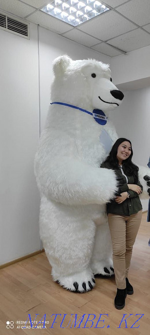 Congratulations From the Polar Bear Umka! Almaty - photo 3