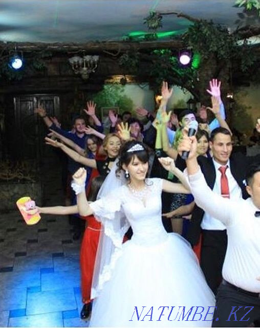 Toastmaster, presenter, musician 50.000 Astana - photo 5