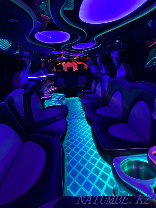 Birthday Limousine Qaskeleng - photo 4