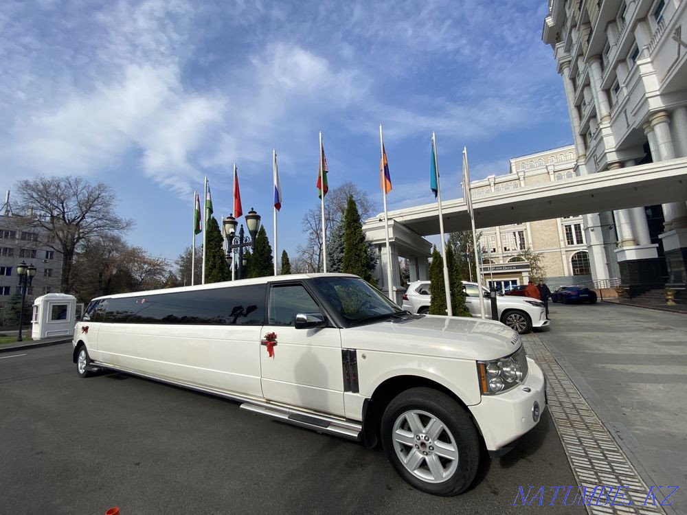 Birthday Limousine Qaskeleng - photo 2