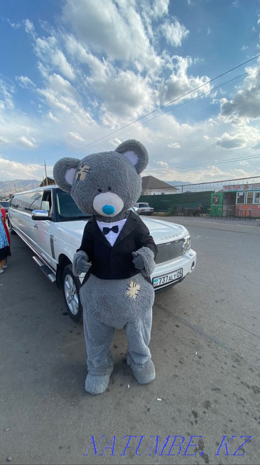 Birthday Limousine Qaskeleng - photo 1