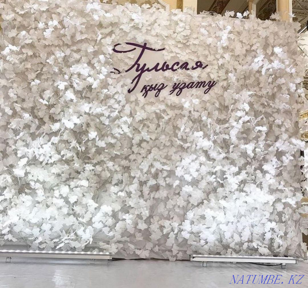 Registration zhasaimyz, toylar?a kelіn t?sterge, betashar?a,??daly? tb Муратбаев - photo 1