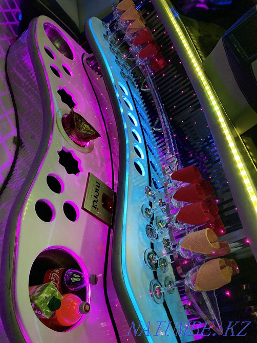 Отбасылық үйден шығаруға арналған лимузин Отеген батыра - изображение 6