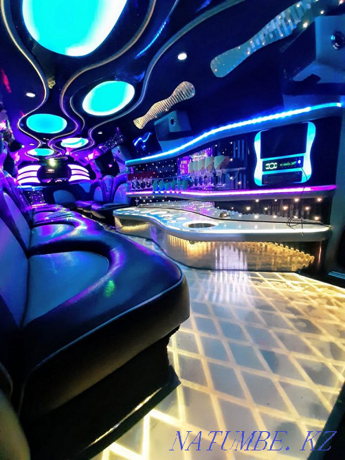 Limousine zhal? and bermiz Kapshagay - photo 6
