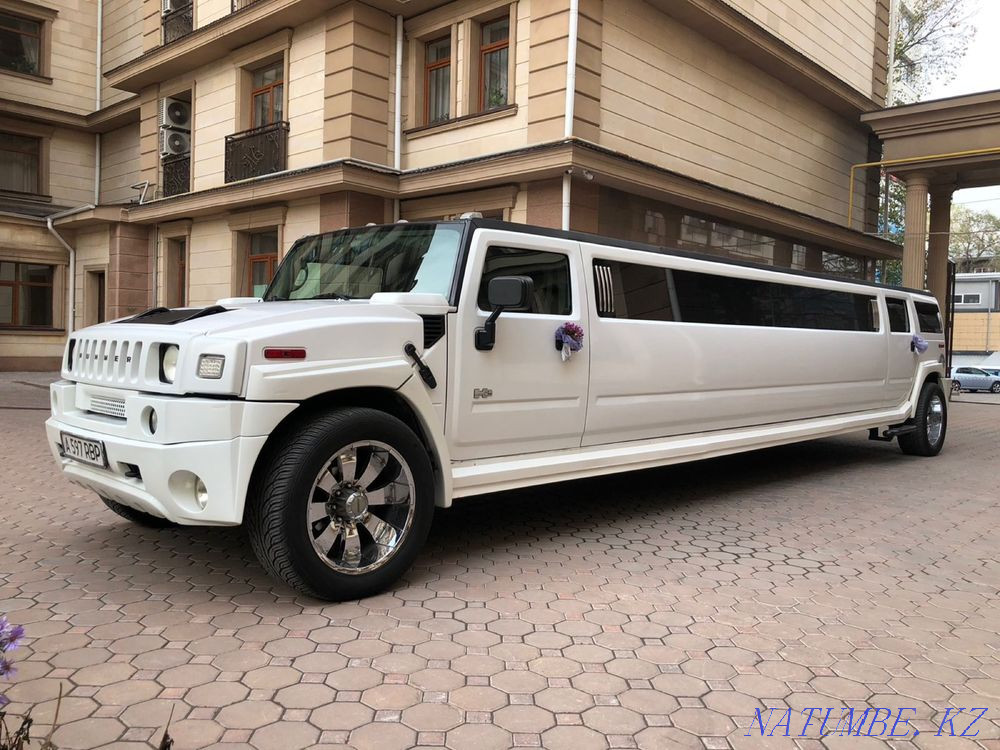 Limousine zhal? and bermiz Kapshagay - photo 2