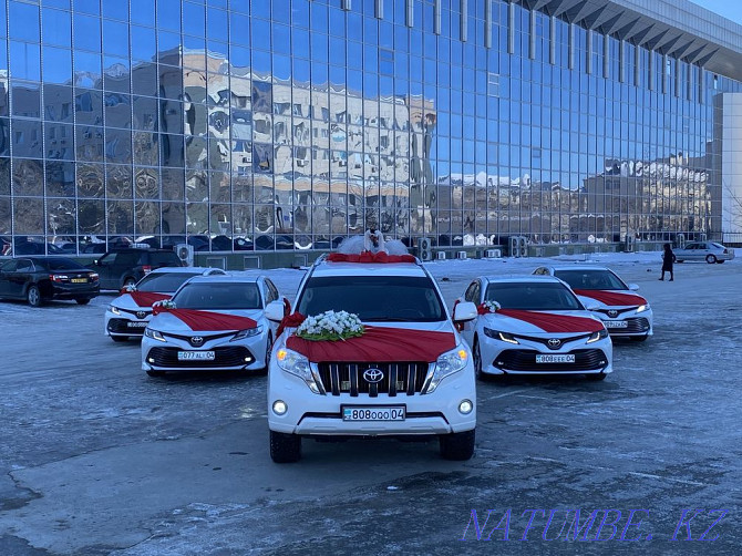 Extract from the maternity hospital Prado Cartege party motorcade toy transfer kudalyk Aqtobe - photo 8