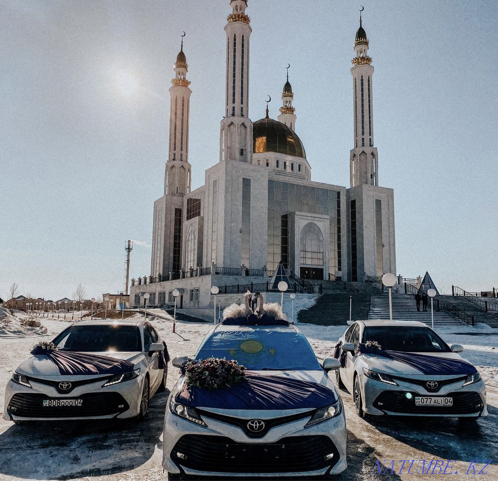 Перзентханадан үзінді Prado Cartege партиясының кортежі ойыншық трансфер құдалық  Ақтөбе  - изображение 3