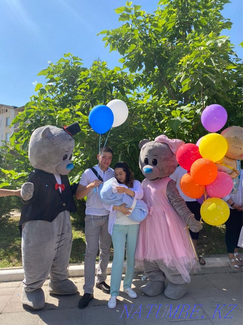 Аниматорлар, Тедди аю Шымкент - изображение 2