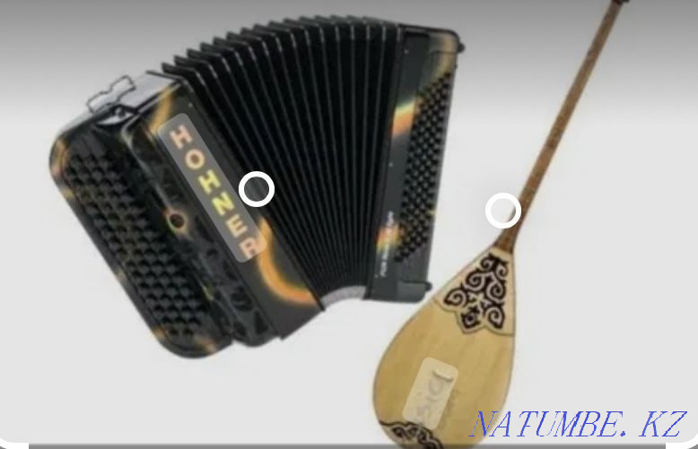 Tamada button accordion dombyra musician Aqsay - photo 1