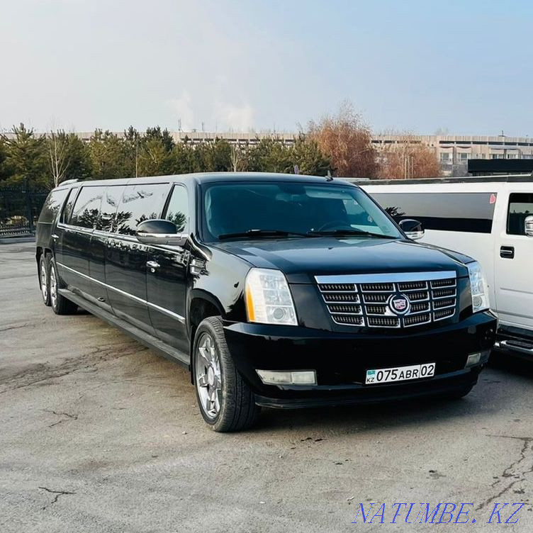 Лимузин на свадьбу выписка из роддома Боралдай - изображение 4