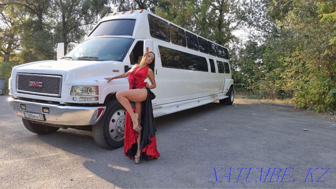 Limousines for a holiday, wedding, discharge from the hospital  - photo 7