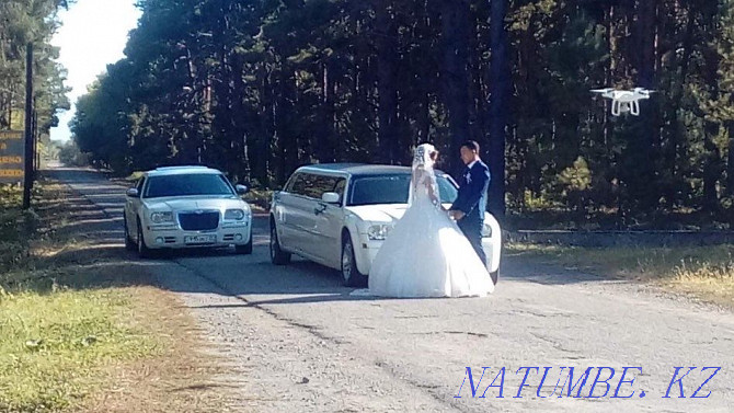 Limousines for a holiday, wedding, discharge from the hospital  - photo 6