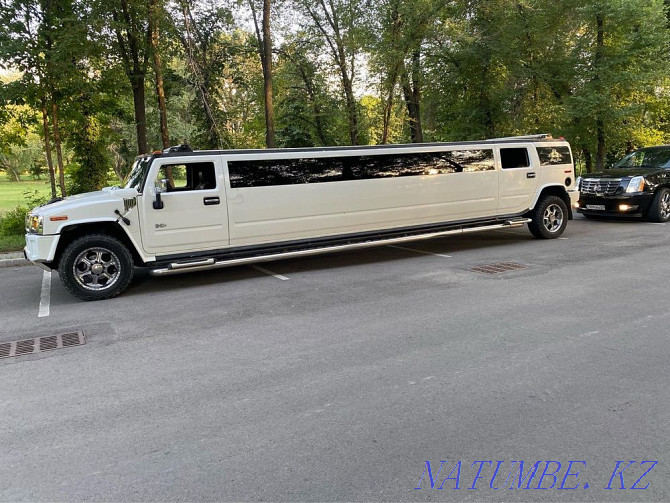 Limousines for a holiday, wedding, discharge from the hospital  - photo 5