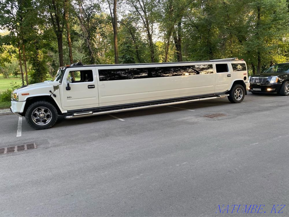 Мереке, той, ауруханадан шығуға арналған лимузиндер  - изображение 5
