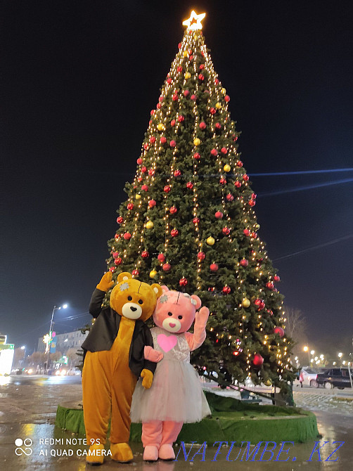 Teddy Teddy ойыншық аю TEDDY сіздің мерекеңіз үшін Шымкент - изображение 3