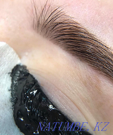 Eyebrow correction and shaping. TRAINING ARCHITECTURE OF EYEBROWS. Kostanay - photo 3