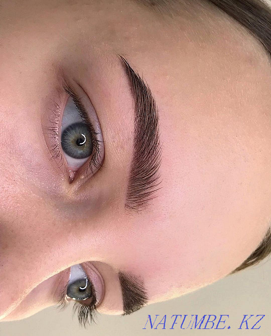 Eyebrow correction and shaping. TRAINING ARCHITECTURE OF EYEBROWS. Kostanay - photo 1