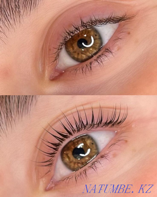 Eyebrow correction Aqtau - photo 2