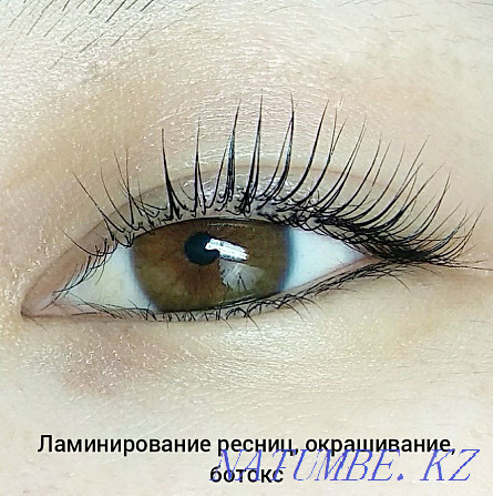 Eyebrow correction and coloring, lamination of eyebrows and eyelashes, Ust-Kamenogorsk - photo 4