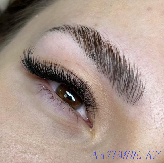 Brows. Eyebrow correction (wax + tweezers) Oral - photo 3