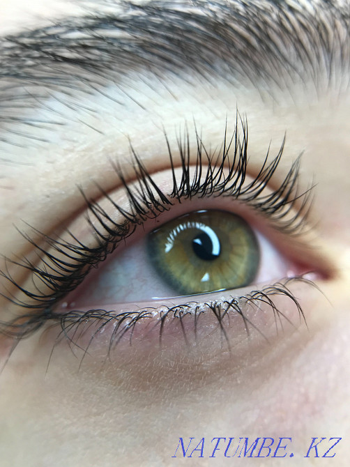 Eyebrow and eyelash lamination Almaty - photo 5