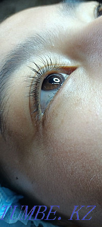 Eyebrow correction, eyebrow lamination and eyelash lamination Karagandy - photo 4
