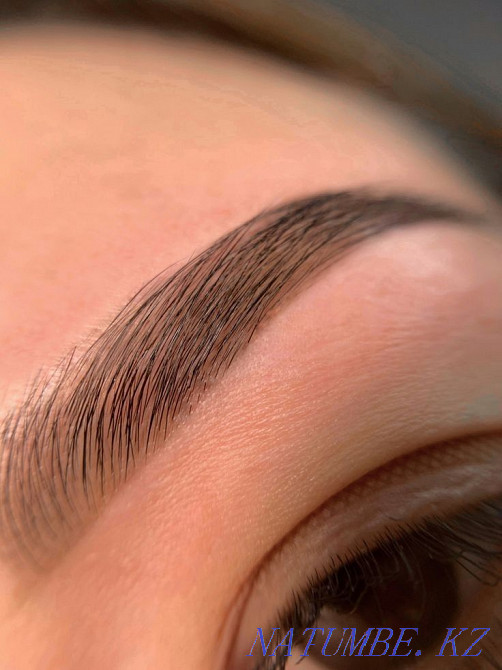 Models for lamination / eyebrow correction Temirtau - photo 1