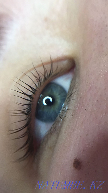 Ламинирование бровей и ресниц недорого Алматы - изображение 2