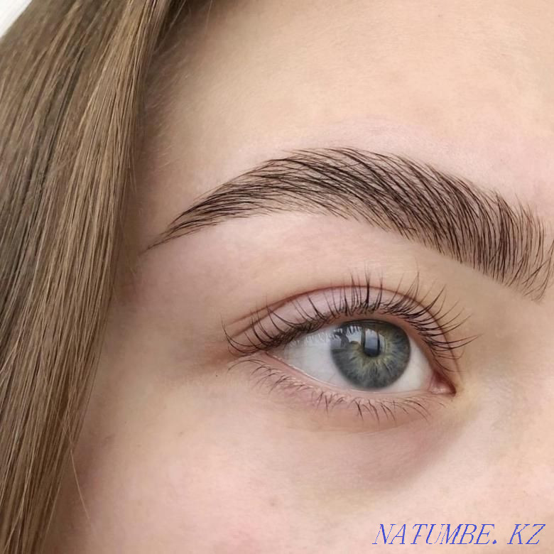 Eyebrow lamination Correction Eyebrow coloring Almaty - photo 2