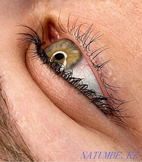 Permanent tattoo PM ACTION 7000 any zone from TOP MASTER Petropavlovsk - photo 6