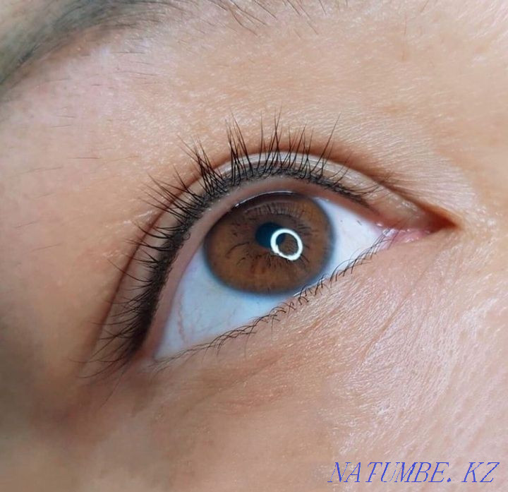 6000. Акция!ПМ бровей,век,губ. Кокшетау - изображение 6