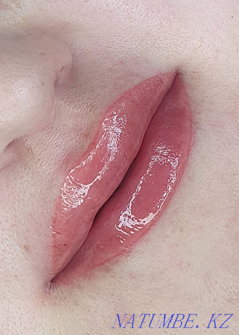 Татуировкасы, қастардың, еріндердің, кірпіктердің арасына тұрақты макияж,  Щучинск - изображение 5