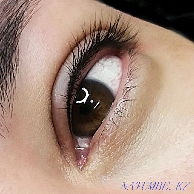 Permanent makeup / tattoo removal / scars / models Almaty - photo 4