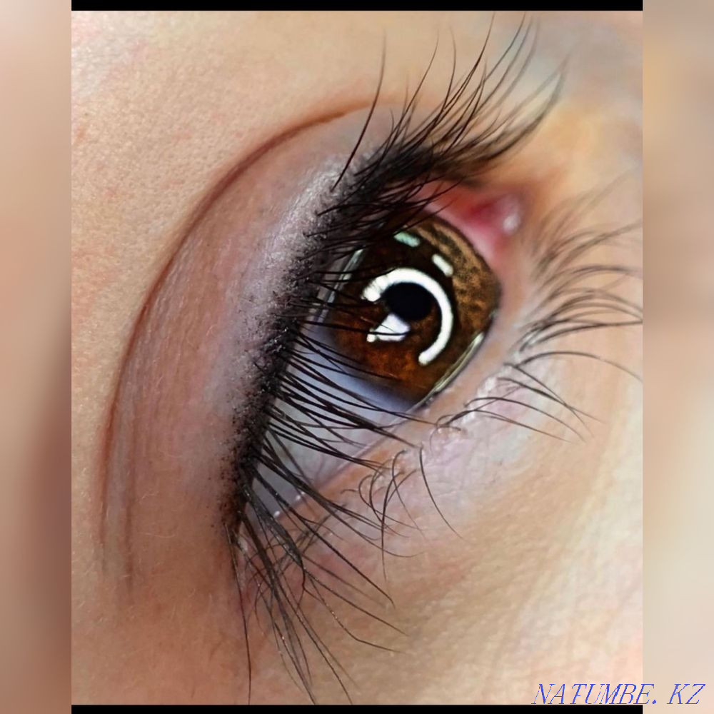 Акцияларға арналған тұрақты макияж 6990т Барлық аймақтар үшін  Астана - изображение 5