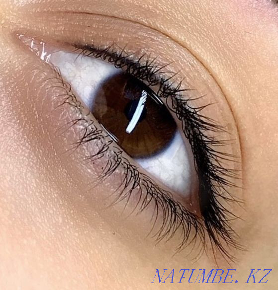 ПМ Бровей ,век, губ-10000 вместо (20000) Атырау - изображение 3